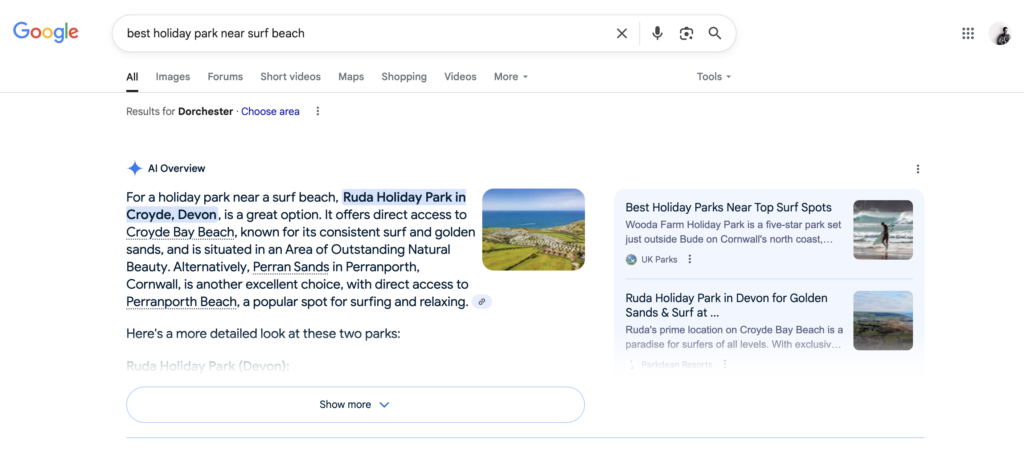 Google AI Overview Search results